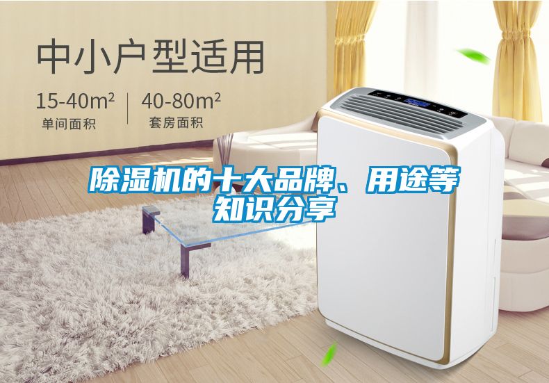 除濕機的十大品牌、用途等知識分享