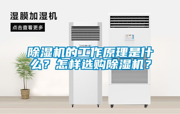 除濕機(jī)的工作原理是什么？怎樣選購除濕機(jī)？