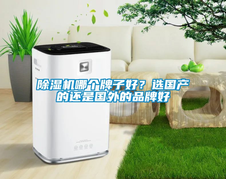 除濕機哪個牌子好？選國產(chǎn)的還是國外的品牌好