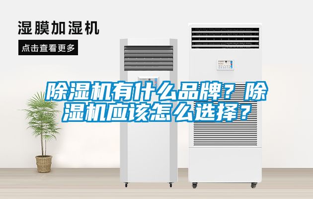 除濕機(jī)有什么品牌？除濕機(jī)應(yīng)該怎么選擇？