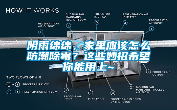 陰雨綿綿，家里應(yīng)該怎么防潮除霉？這些妙招希望你能用上~