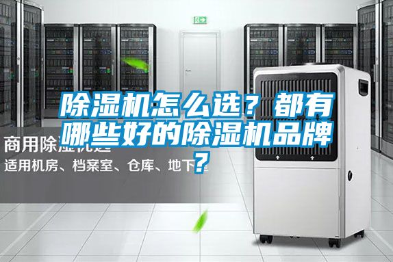 除濕機怎么選？都有哪些好的除濕機品牌？