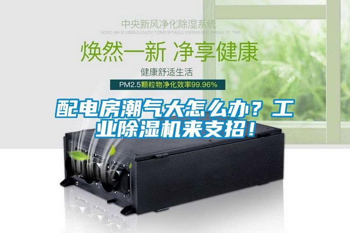 配電房潮氣大怎么辦？工業(yè)除濕機來支招！