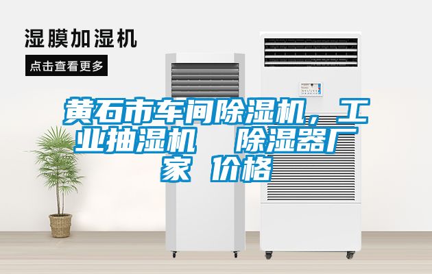 黃石市車間除濕機，工業(yè)抽濕機  除濕器廠家 價格