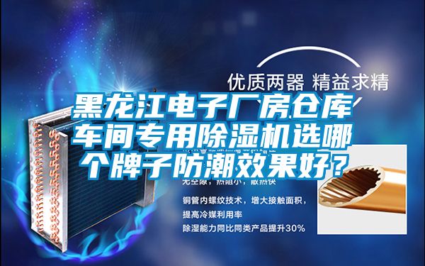 黑龍江電子廠房倉庫車間專用除濕機選哪個牌子防潮效果好？