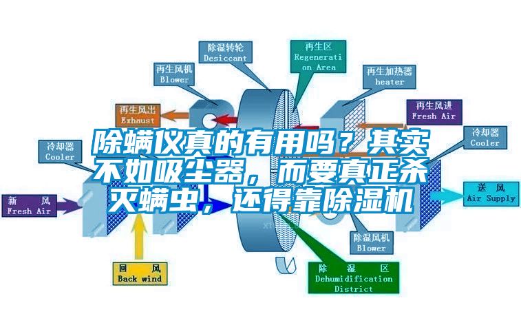 除螨儀真的有用嗎？其實(shí)不如吸塵器，而要真正殺滅螨蟲，還得靠除濕機(jī)